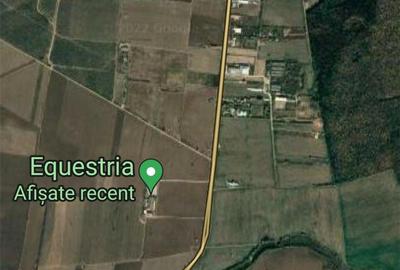 Teren de 12500 mp, în Săftica - 2