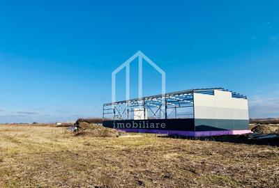 Spațiu industrial, de 528 mp, în Vest - 5