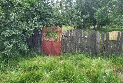 Casă cu 2 camere cu Teren 2635 Mp în Dragalina - 3