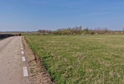 Spațiu comercial, în Blajova - 3