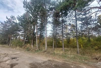 TEREN DE VANZARE 2000 MP IN VECINATATEA RAFO CU DESHIDERE LA SOSEAUA INDUSTRIILO - 3