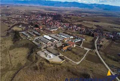 In areal linistit, acces facil, 120.000mp teren extravilan, Covasna , Borosneu Mare. - 3