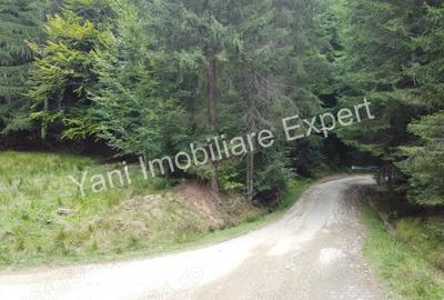 Teren de vanzare in apropiere de Transfagara?an ?i Valea Valsanului. - 4