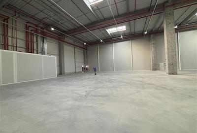 Vanzare depozit/hala/spatiu industrial Theodor Pallady - A2 - 6