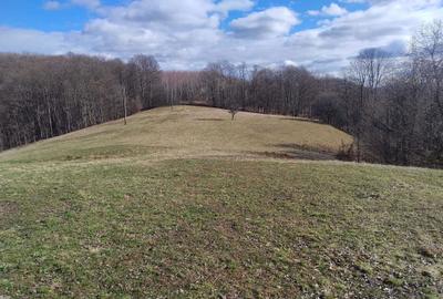 Spațiu comercial, în Borod - 8