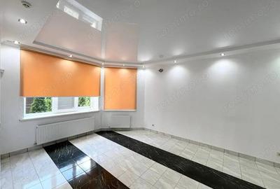 Spatiu de inchiriat in zona Baba Novac - 2