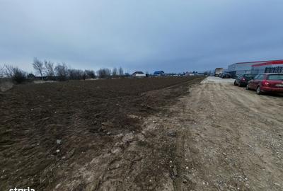 Teren de 8918 mp, în Sărata - 15