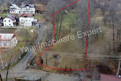 Teren de vanzare in comuna Arefu, jude? Arge?. - 20