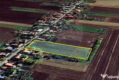 Teren de 5018 mp, în Variașu Mare - 1