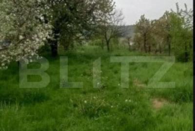 Casa Individuala in Voinesti - 3