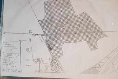 Teren intravilan 5.000 m² cu 40 m deschidere la DN2A – langa Kaufland Slobozia - 7