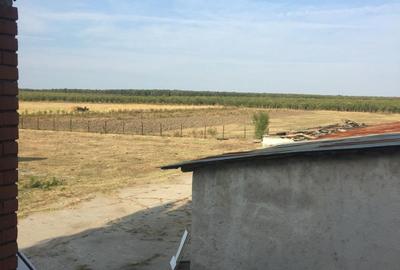 De Vânzare – Fermă de Pomi Fructiferi, 48,8 ha, Iancu Jianu, Jud. Olt - 6