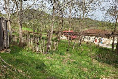 Casă cu 4 camere cu Teren 1000 Mp în Central - 2