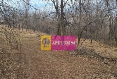 Teren intravilan de vanzare in Cornu de Jos - 8