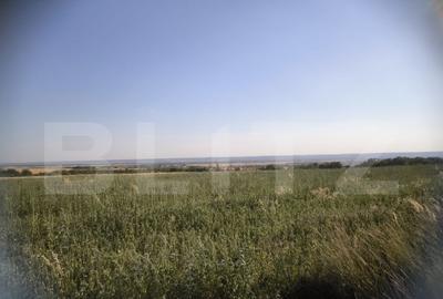 Teren 30.350 mp (600 mp intravilan) ideal investi?ie, C - 8