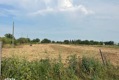 Teren de 5000 mp, în Central - 3