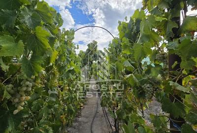 Casă cu 4 camere cu Teren 797 Mp în Mehala