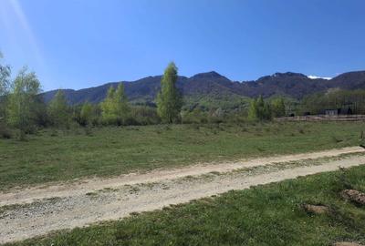Teren de 500 mp, în Predeluț - 7