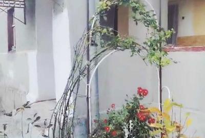 Casă cu 2 camere cu Teren 1080 Mp în Totoi - 1