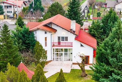 Vila familiei unite, piscina, cabana, Snagov - Ciofliceni - 10