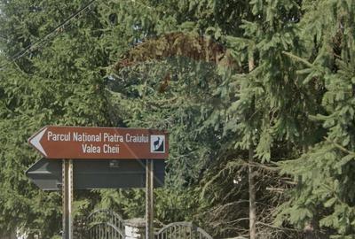 VANZARE Teren intravilan 3350 mp Podu Dambovitei ARGES - 13