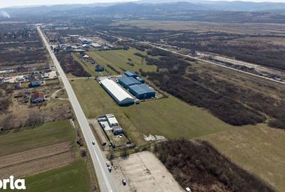 Teren de 7194 mp, în Carașova - 5