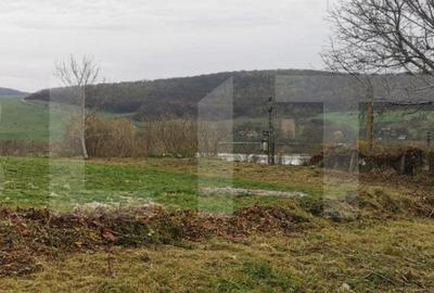 Investitie ! Casa individuala 1 camera, 51 mp, 3000 mp teren, Geaca ! - 5