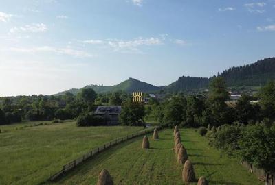 Teren 10304 mp cu casa locuibila! In Bucovina, Zona M... - 12