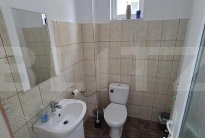 Spațiu comercial, de 240 mp, în Cetate - 8