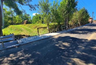 Casa de vanzare in comuna Albe?tii de Arge?, sat Brate?ti, jude? Arge?. - 20