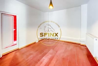 Vila pentru investitie cu chirias Foisoul de Foc - 19