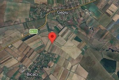 Teren de 68150 mp, în Sânmartin - 1