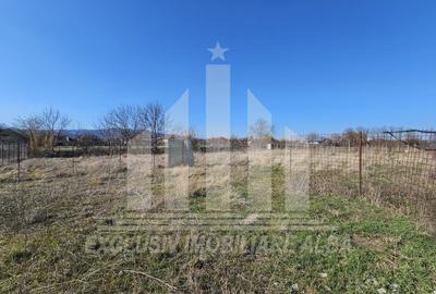 Teren Construcții intravilan de 1315 mp, în Partoș - 2