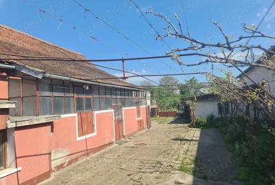 Casa regim Dp+P teren generos 1152 mp Codlea, DN1, 2 garaje, gradina - 3