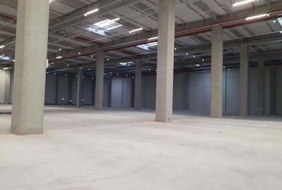 Spațiu comercial, de 2,000 mp, în Dragomirești-Vale - 2