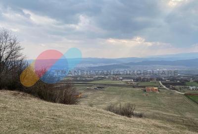 Teren Construcții intravilan de 2019 mp, în Dâmbul Rotund - 1