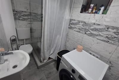 Casa individuala 3 camere 2 bai curte si garaj - zona Talmaciu - 13