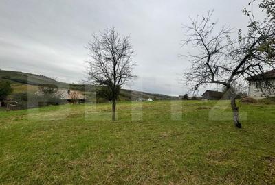 Casa individuala, 3300 mp teren, zona Sintereag - 3