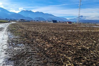 Teren de 3500 mp, în Movilei - 6