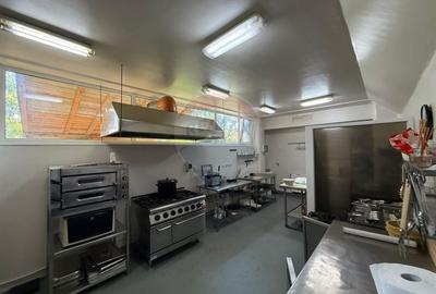 Spațiu comercial, de 300 mp, în Calea Romanului - 13