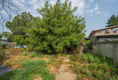 CHIAJNA - CASA RENOVABILA 129 MP, LOT 690 MP! - 8