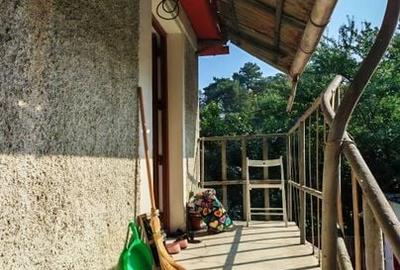 Apartament la casa + anexa gospodareasca, zona Blumana -Bartolomeu. - 18