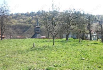 Teren de 2219 mp, în Lăpugiu de Jos - 6