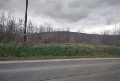 Teren de 7500 mp, în Poieni