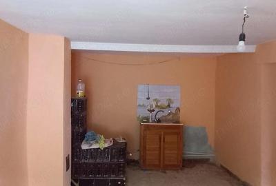 Casă cu 3 camere cu Teren 1349 Mp în Nădălbești - 1