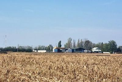 Vanzare Teren industrial  Magurele 8000mp - 9