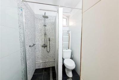 3D! Locatie decomandata, in zona centrala cu gradina, activitate profesionala/re - 10