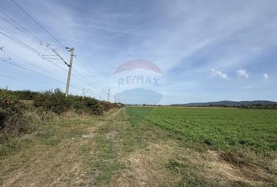 Teren Investitii  |  Zona Tetarom III-Bontida-Rascruci - 5