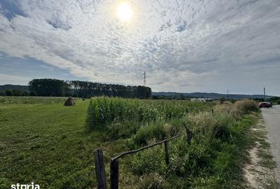 Teren de 7500 mp, în Mihăești - 5