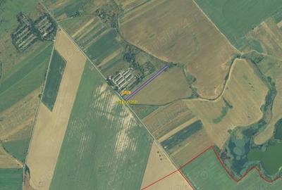 Teren de 7000 mp, în Bradu - 2